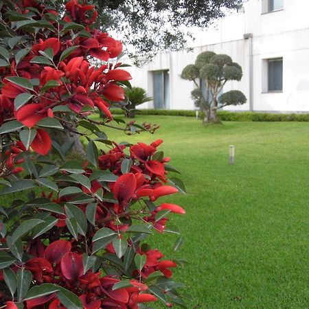 Fiore Dell'Etna Apartment Santa Venerina Bagian luar foto
