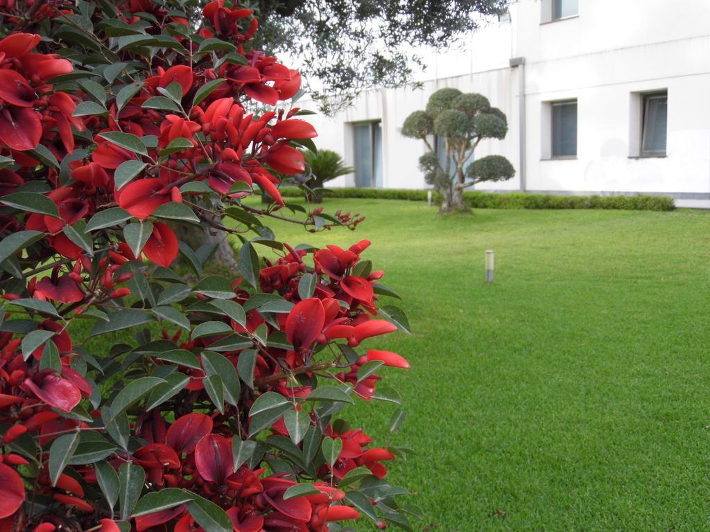Fiore Dell'Etna Apartment Santa Venerina Bagian luar foto