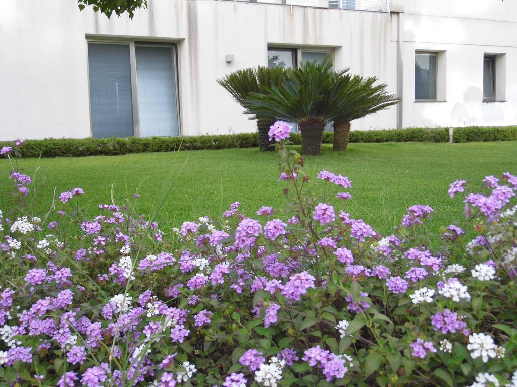 Fiore Dell'Etna Apartment Santa Venerina Bagian luar foto